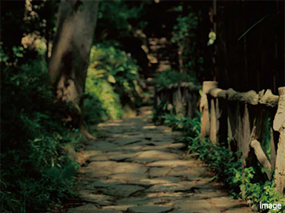 有栖川宮記念公園｜ザ・パークハウス元麻布